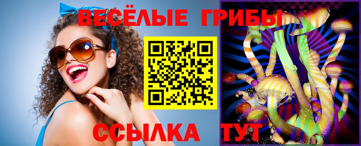 Павлово  Галлюциногенные грибы MAGIC MUSHROOMS  Вход с VPN 